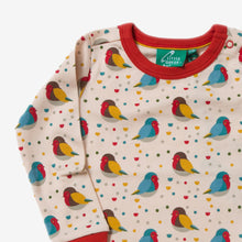 Load image into Gallery viewer, Rainbow Robins Long Sleeve Tee
