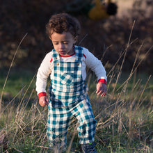 Load image into Gallery viewer, Winter Blue Check Classic Dungarees
