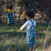 Load image into Gallery viewer, Winter Blue Check Classic Dungarees
