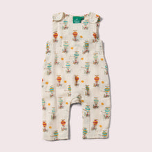 Load image into Gallery viewer, Take To The Skies Pocket Adventure Dungarees
