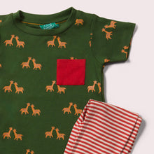 Lade das Bild in den Galerie-Viewer,       Little-Green-Radicals-Green-And-Red-T-Shirt-And-Jogger-Playset-With-Giraffe-Print-Closeup
