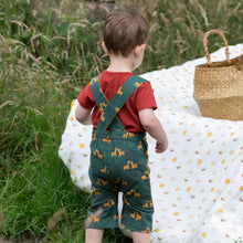 Lade das Bild in den Galerie-Viewer,       Little-Green-Radicals-Green-and_Yellow-Shortie-Dungarees-With-Giraffe-Print-Kid-Back
