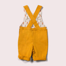 Lade das Bild in den Galerie-Viewer,       Little-Green-Radicals-Orange-Shortie-Dungarees-With-Balloon-Print-Back
