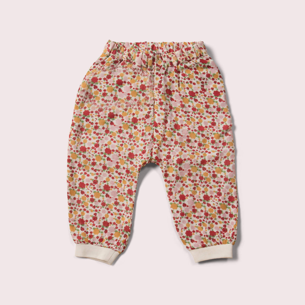       Little-Green-Radicals-Pink-And-Red-Jelly-Bean-Joggers-With-Ladybird-Print