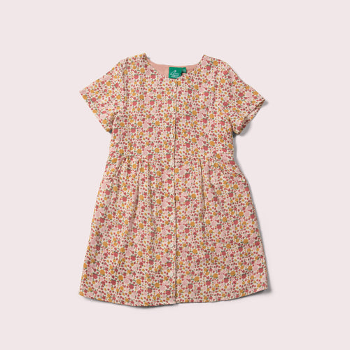     Little-Green-Radicals-Pink-Organic-Button-Dress-With-Ladybird-Print