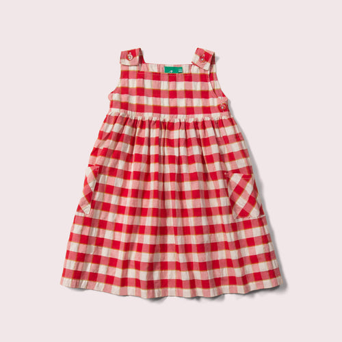     Little-Green-Radicals-Red-Check-Pinny-Dress