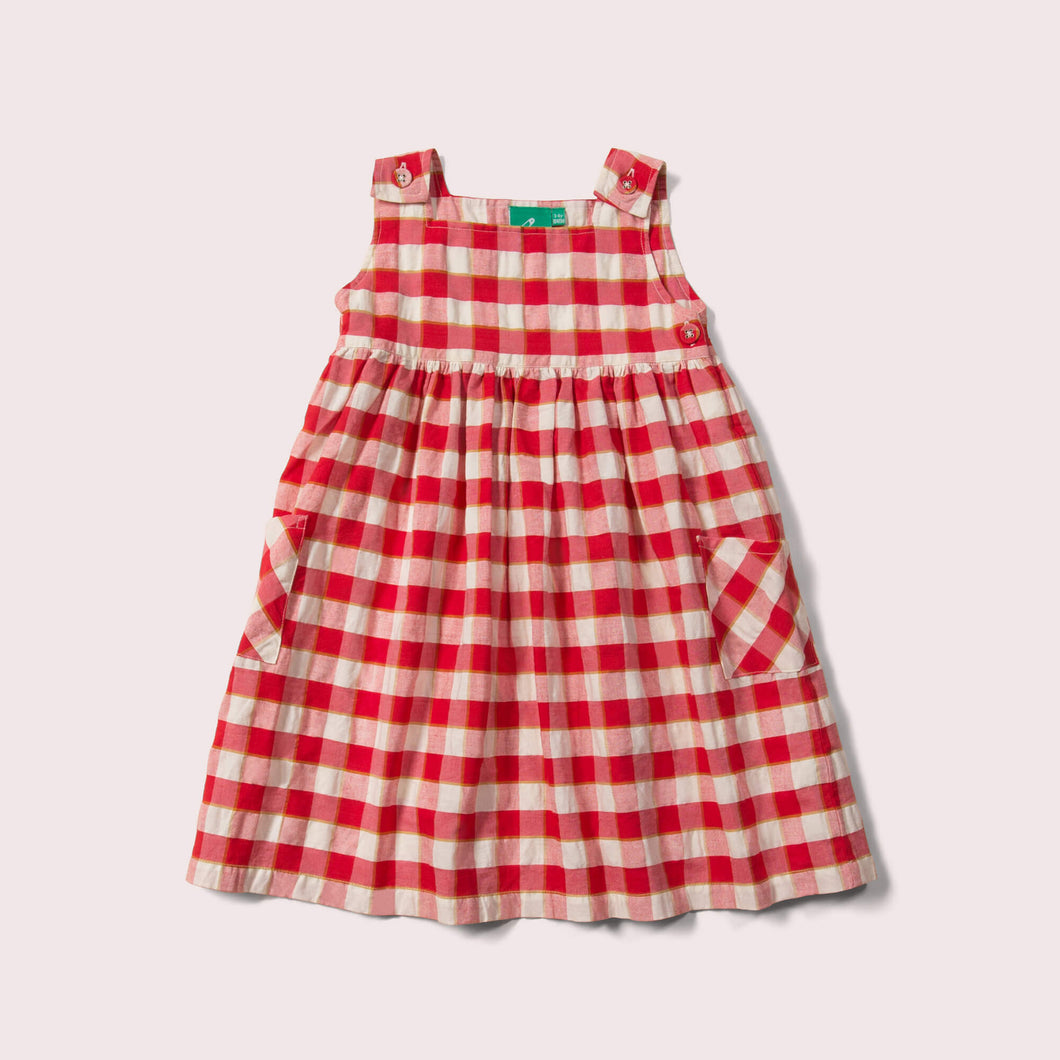     Little-Green-Radicals-Red-Check-Pinny-Dress