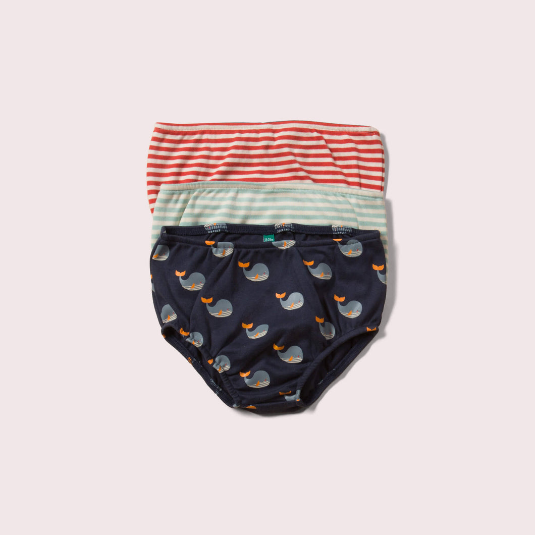     Little-Green-Radicals-Striped-Organic-Underwear-Set-3-Pack-With-Whale-Print