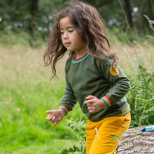 Lade das Bild in den Galerie-Viewer, Grün meliertes Raglan-Regenbogen-Sweatshirt
