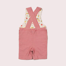 Load image into Gallery viewer, An Apple A Day Striped Shortie Dungarees
