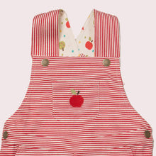 Load image into Gallery viewer, An Apple A Day Striped Shortie Dungarees
