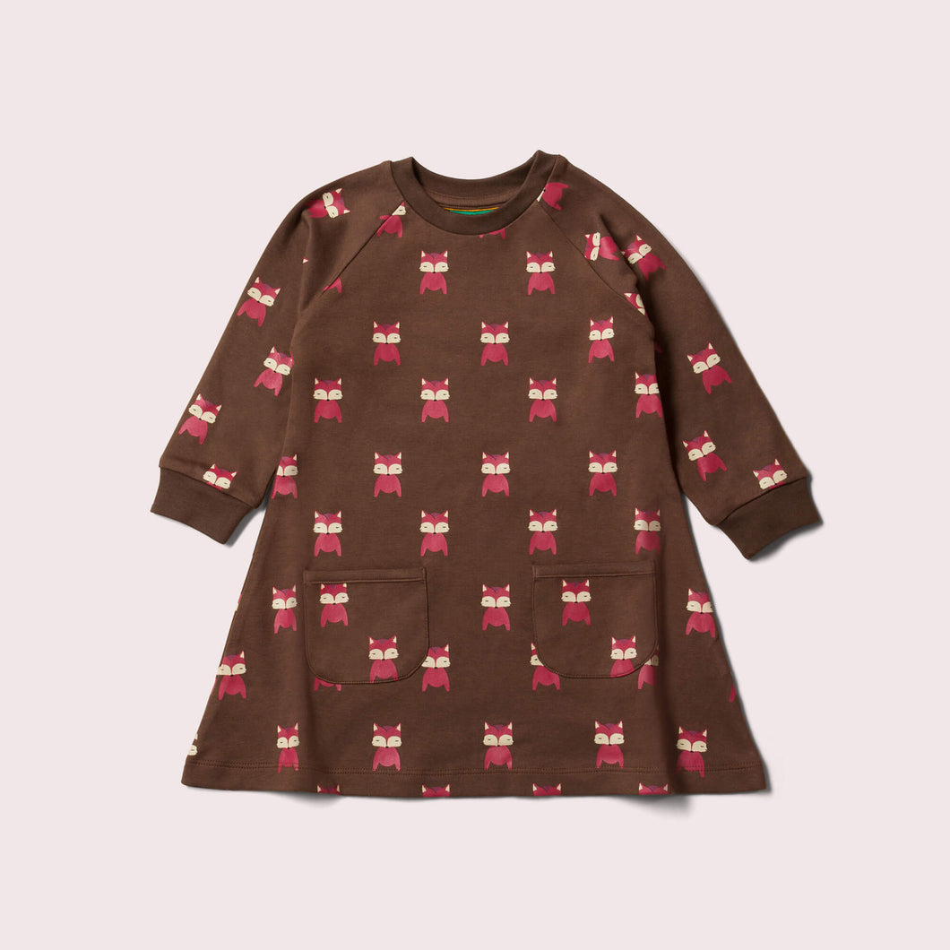 Autumn Foxes Raglan Sleeve Snuggle Pocket Dress