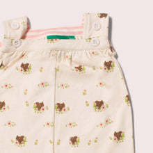 Load image into Gallery viewer, Autumn Squirrel Playdays Dungarees
