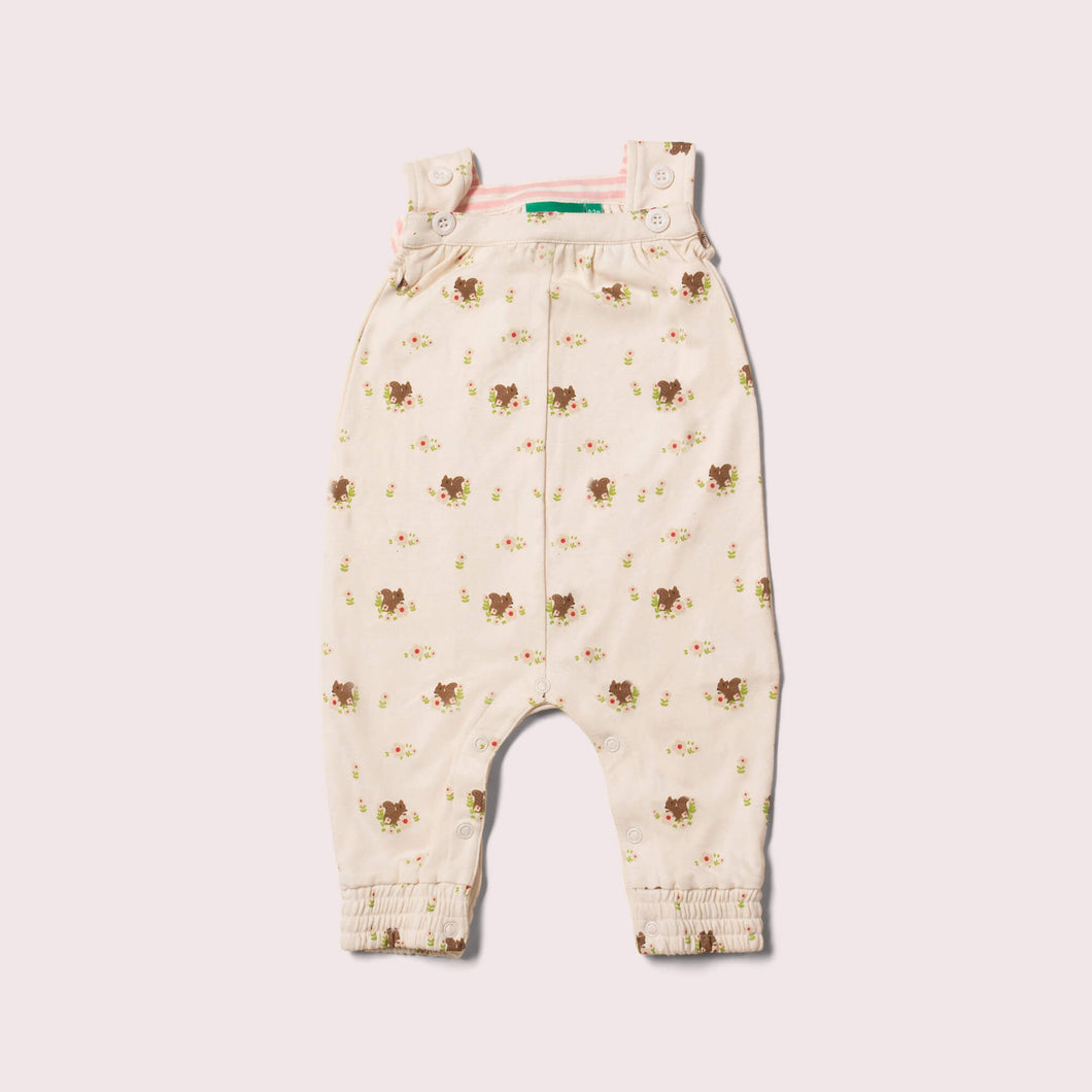 Autumn Squirrel Playdays Dungarees