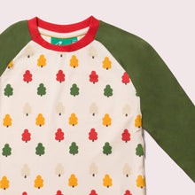 Load image into Gallery viewer, Autumn Trees Long Sleeve Raglan T-Shirt
