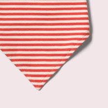 Cargar imagen en el visor de la galería, Blue &amp; Red Striped Organic Cotton Dribble Bib Set
