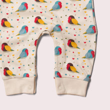 Load image into Gallery viewer, Rainbow Robins Organic Romper Playsuit
