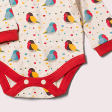 Load image into Gallery viewer, Rainbow Robins Organic Baby Bodysuit Set
