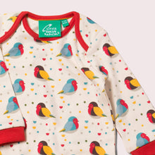 Load image into Gallery viewer, Rainbow Robins Organic Baby Bodysuit Set
