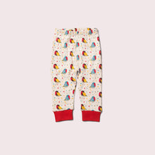 Load image into Gallery viewer, Rainbow Robins Organic Pyjamas
