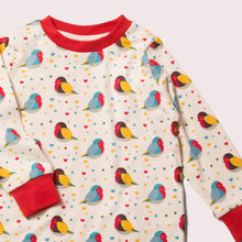 Load image into Gallery viewer, Rainbow Robins Organic Pyjamas
