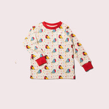 Load image into Gallery viewer, Rainbow Robins Organic Pyjamas
