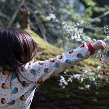 Load image into Gallery viewer, Rainbow Robins Organic T-Shirt &amp; Organic Playset
