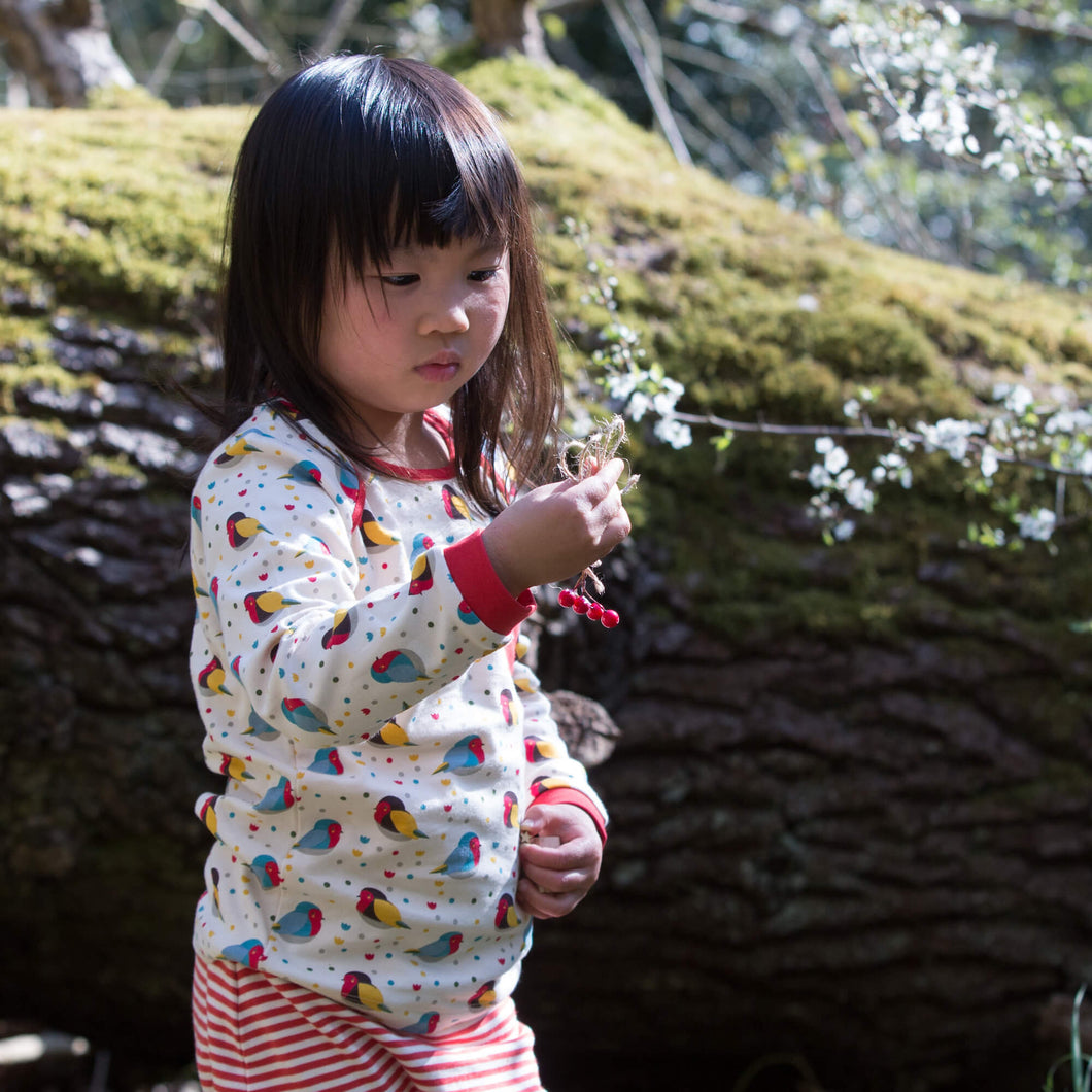 Rainbow Robins Organic T-Shirt & Organic Playset