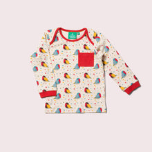 Load image into Gallery viewer, Rainbow Robins Organic T-Shirt &amp; Organic Playset
