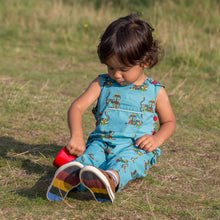 Load image into Gallery viewer, Rainbow Tigers Adventure Dungarees
