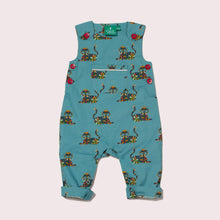 Load image into Gallery viewer, Rainbow Tigers Adventure Dungarees
