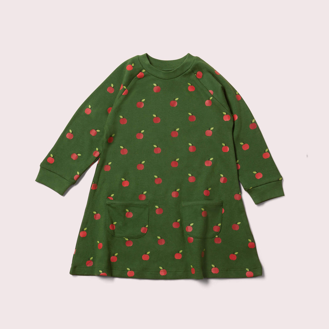 Red Apples Raglan Sleeve Snuggle Pocket Dress