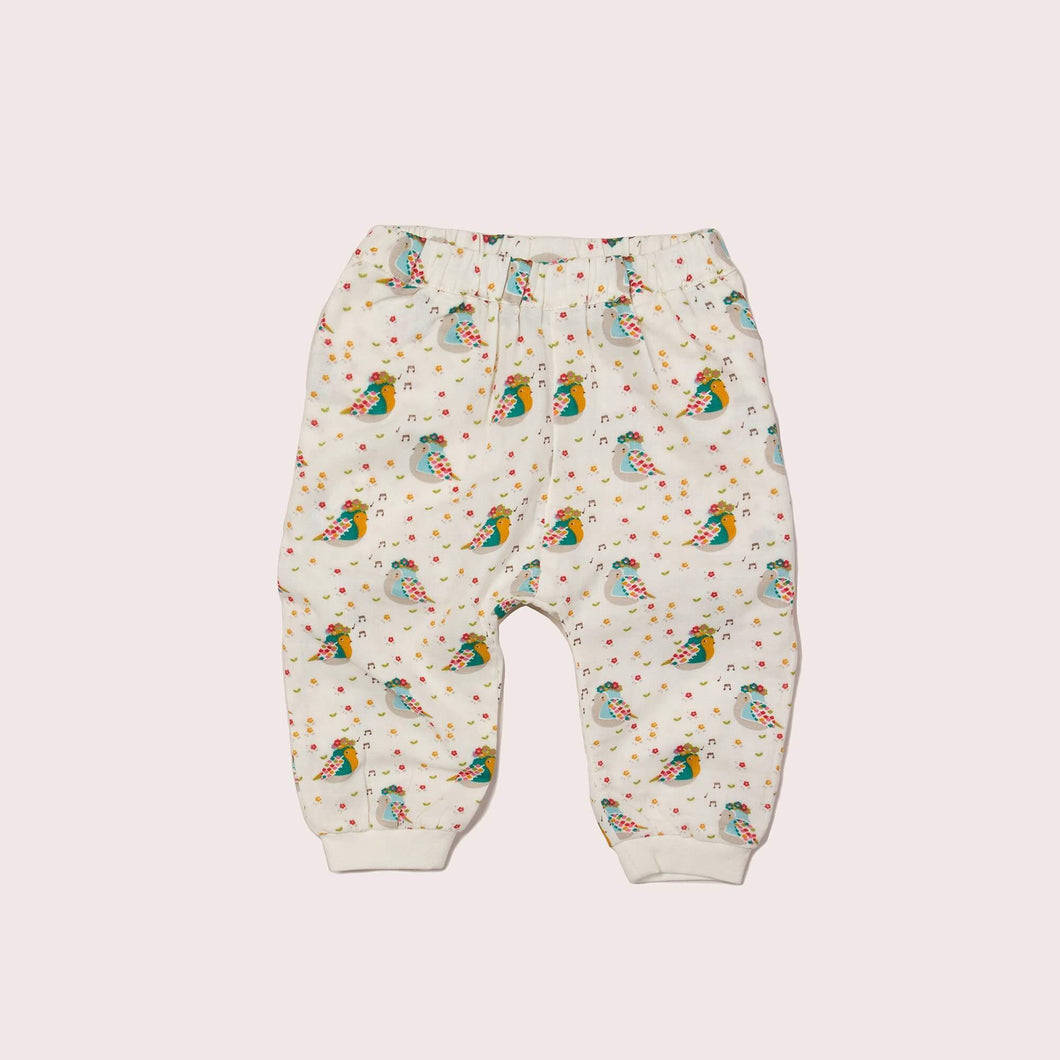 Die Vögel haben Summer Jelly Bean Joggers gesungen